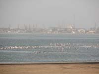 /international/2006Walvisbay/images/Final/thumbnails/final 033.jpg
